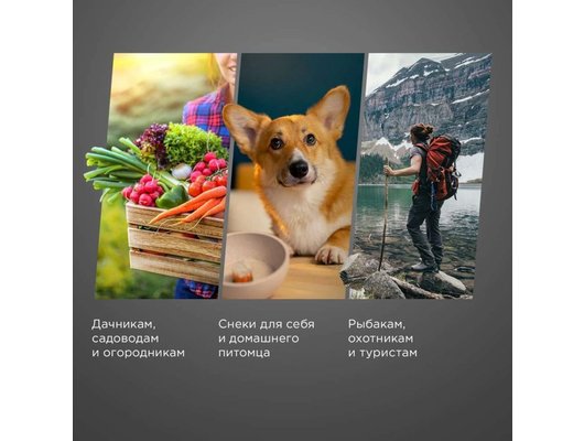 Сушилка РЕДМОНД FD1104 черный